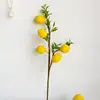 5 citrons