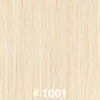 #1001