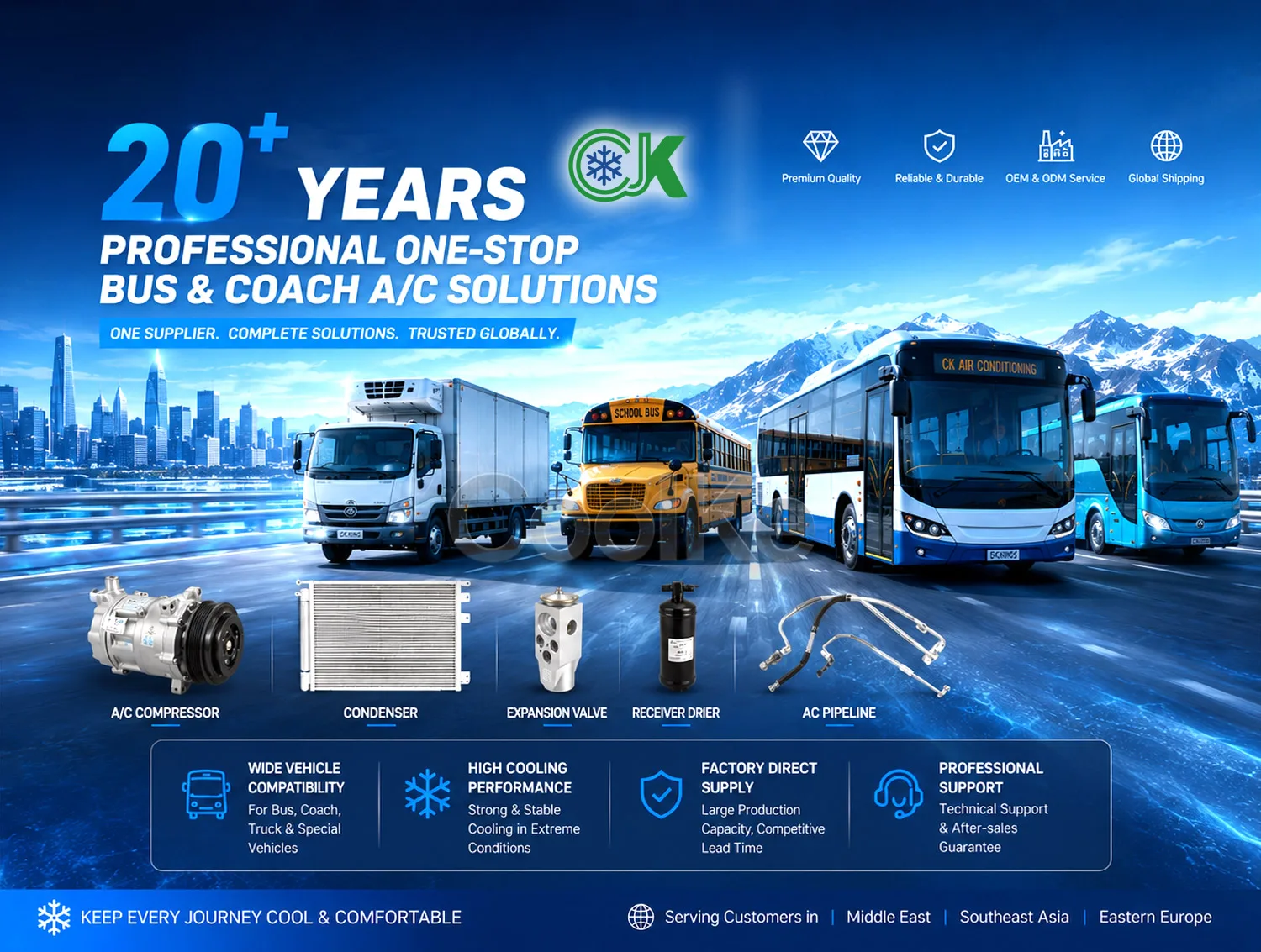 Compressor, 12V, TM31, 6PK, 313cc - detail 10