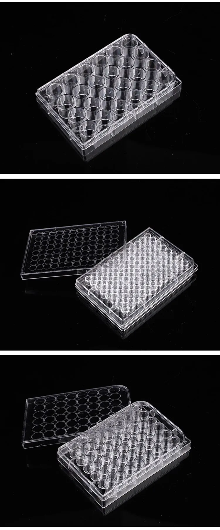 6 Well Tissue Culture Plate Cell Culture Plate With Lid - Buy 6 Well ...