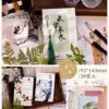 30 postcards-chang le weiyang