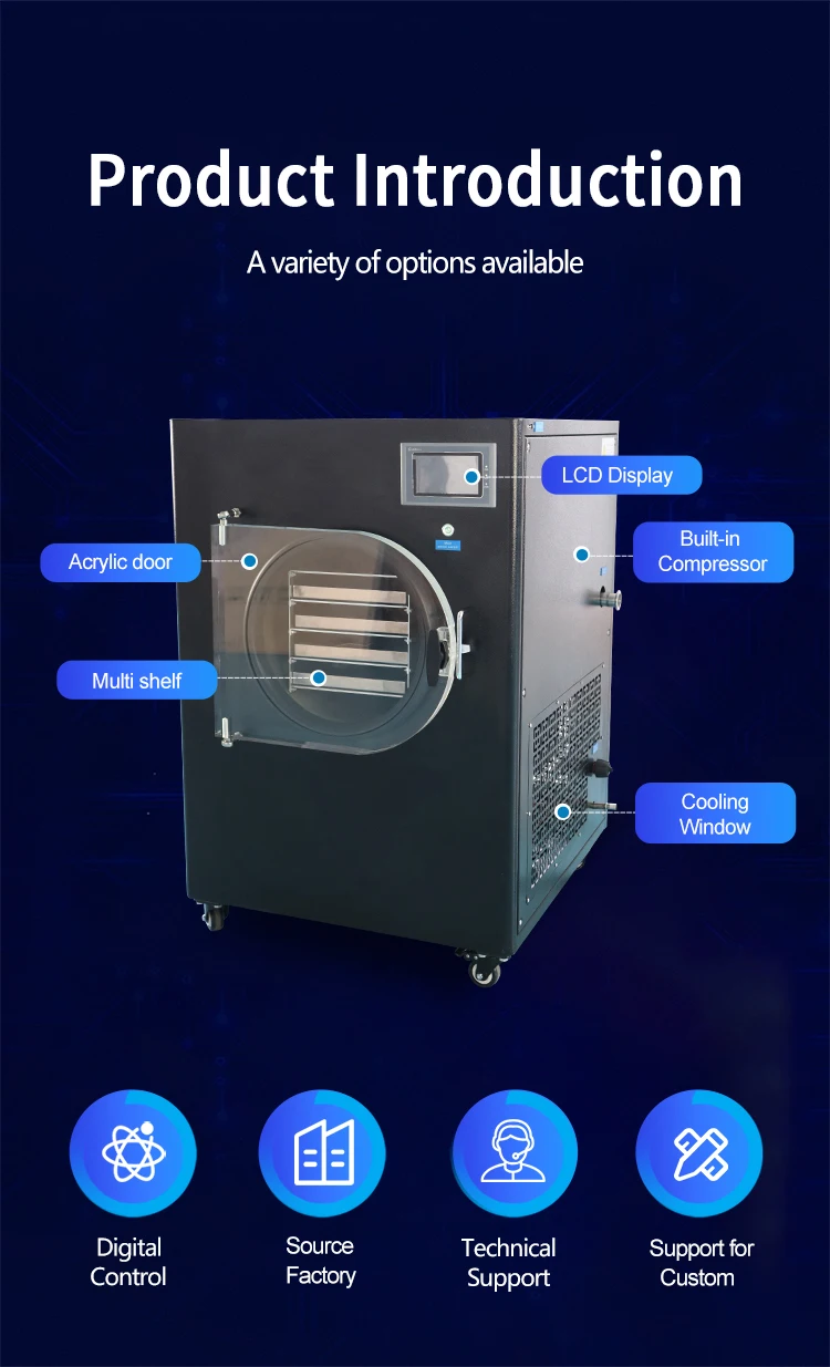 Mini Benchtop Lab Food Freeze Dry Machine - Efficient & Reliable