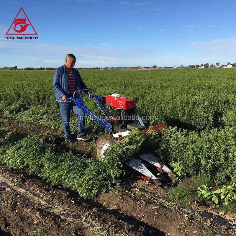 Rice Reaper Philippines Grass Cutter Napier Silage Harvester