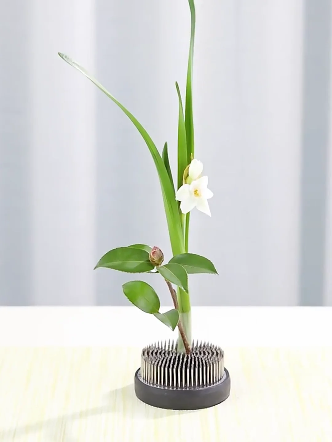 Wholesale 40mm Multi Specification Floral Kenzan Flower Holder Frogs