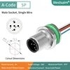 M12-A-5P male PG9