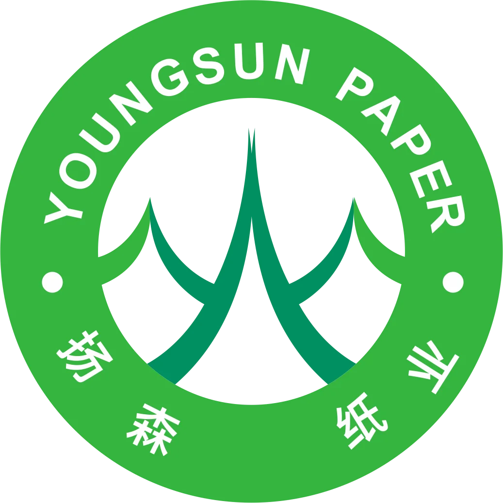 company-overview-dongguan-youngsun-paper-co-ltd