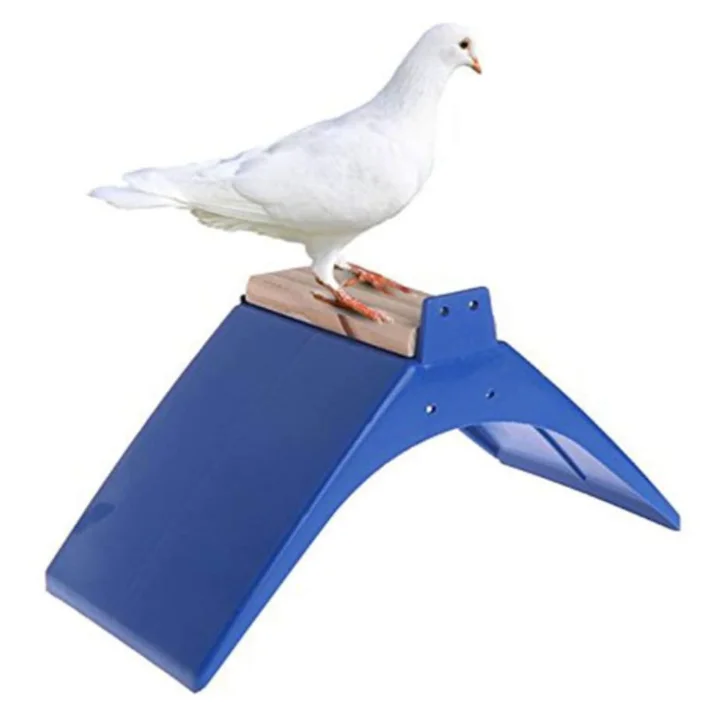 Support de repos pour colombe, Surface en bois, cadre en plastique, gril, perchoirs pour pigeons, fournitures durables pour coq d'oiseaux, couleur bleue, 5 pièces | Rakuten