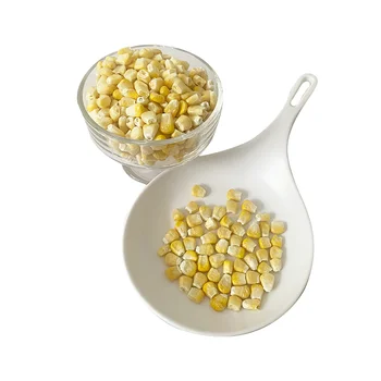 bulk packaging high quality FD vegetable factory direct freeze dried corn kernel for importer