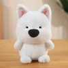 Cane