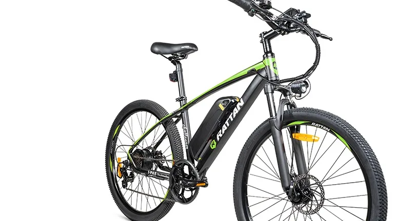 rattan compass ebike