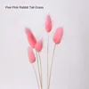 5 Pink Tail Grass [Send a Bundle of Flowers, Leaves and Hemp Rop