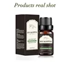 Eucalyptus essential oil 1 bottle 10ml