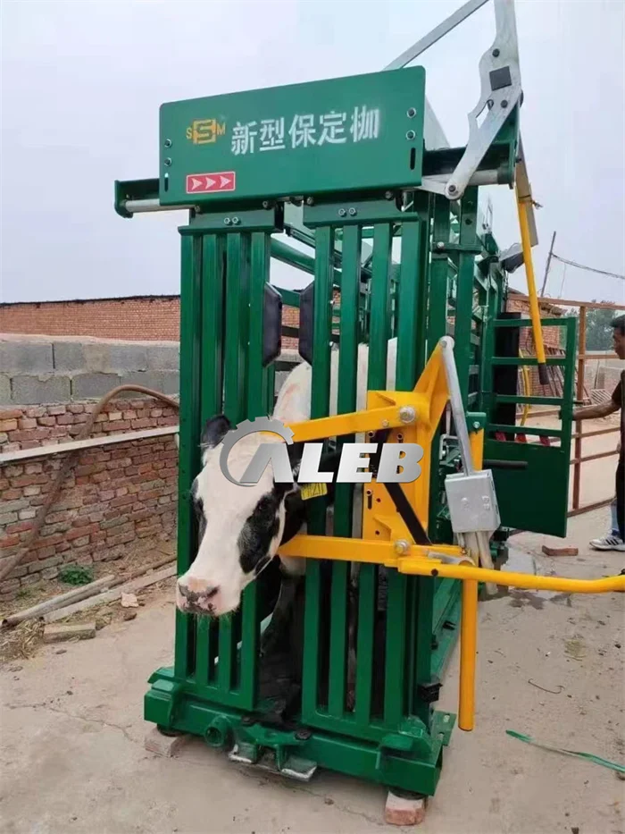Cattle Squeeze Chute Stock Yard Cattle Handler - 1 Year Warranty