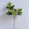 verde#2