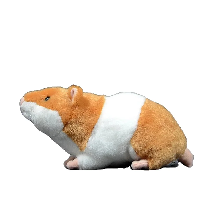 hamster toy ideas