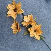 Autumn Orange