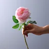 สีชมพู
