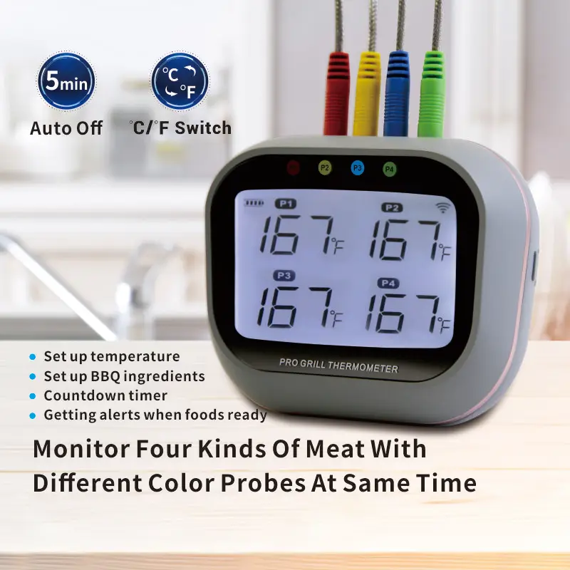 Digital Oven & Barbecue Thermometer - Mingle - Shop online