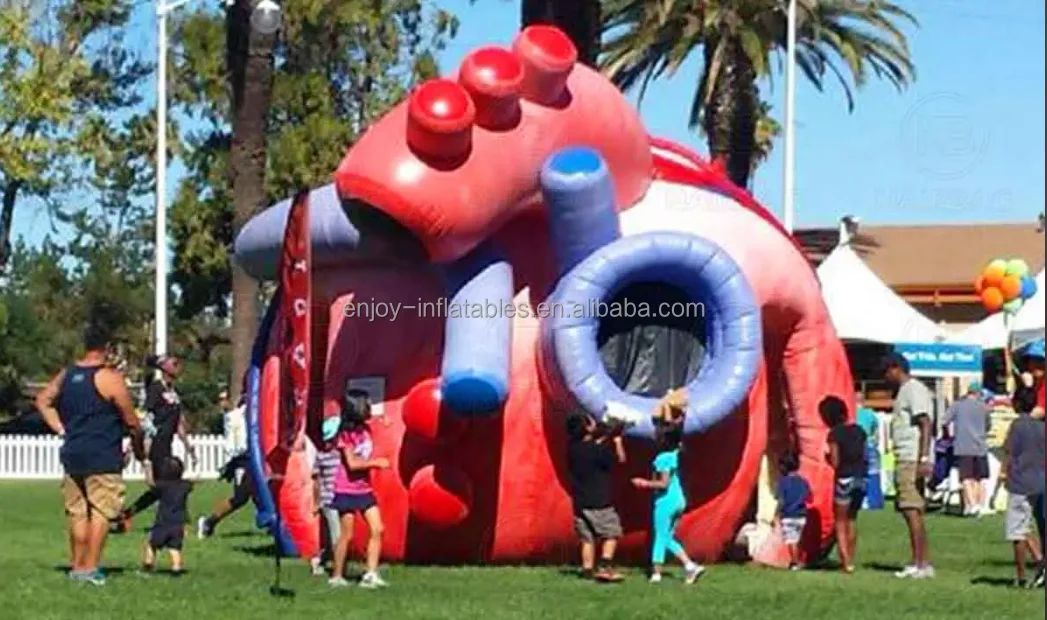 Large Inlfatable Medical Models Giant Heart Inflatable Exhibition Large Human Organs Model for Medical ...