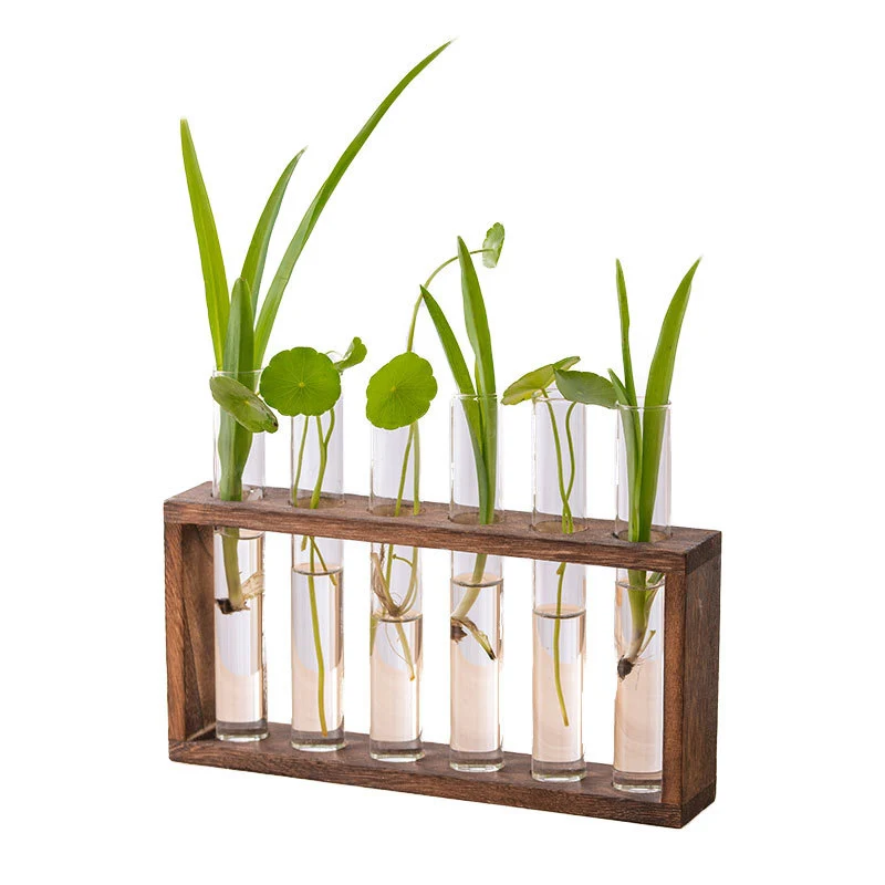 Desktop Hydrokultur-Vase Mit Katzen-Ständer – Glas & Metall, Gold, Für Sukkulenten & Pflanzen-Deko