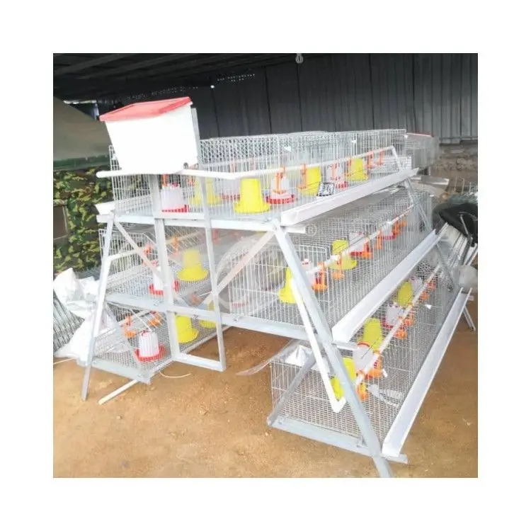 Battery Layer Brooder Cages of Poultry Chicks for 5000 Birds