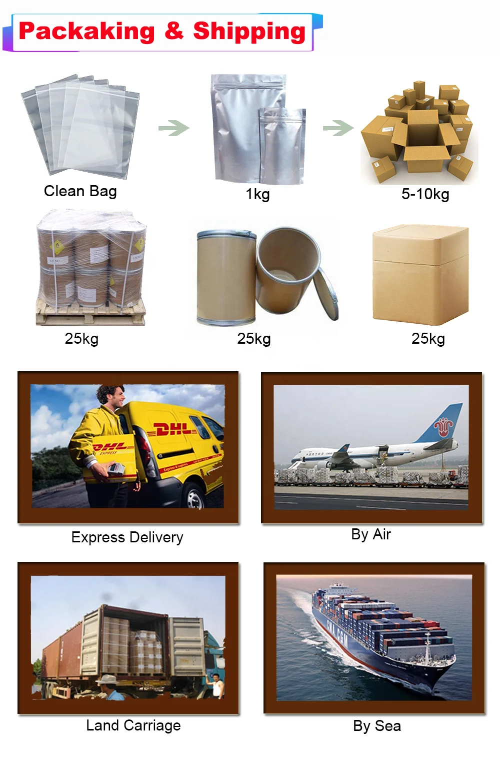 High Quality Echinacea Purpurea Root Extract 10 Polyphenols Echinacea