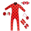 Set 5 pezzi Ladybug + orecchini