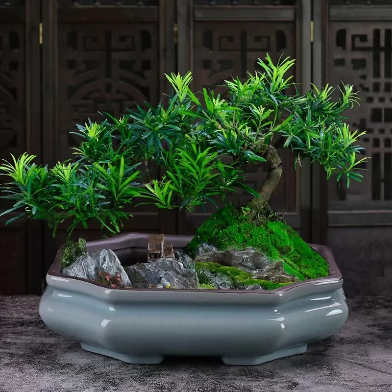 Professional Purple Granulated Glaze Bonsai Pot Ceramic Garden Pots