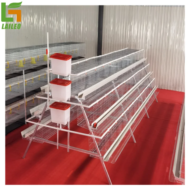 Poultry Farm a Type System Chicken Layer Cage for Egg Production ...