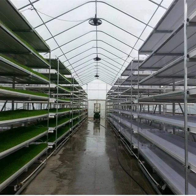 Hydroponic Fodder Growing System Hydroponic Fodder Cultivation