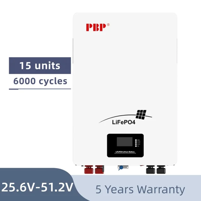 Dual 10000mAh 48Volt Lithium Ion Batteries Pack Balance Lithium Polymer and Lifepo4 for Optimal Performance
