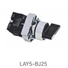 LAY5-BJ25    แอลเอวาย5-บีเจ25