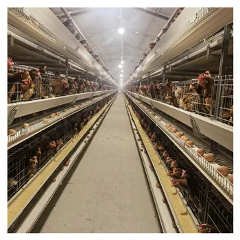 Poultry Farm Equipment Automatic Chicken Layer Battery Cage for Sale Chicken Nesting Box Multifunctional Provided Chicken Coop