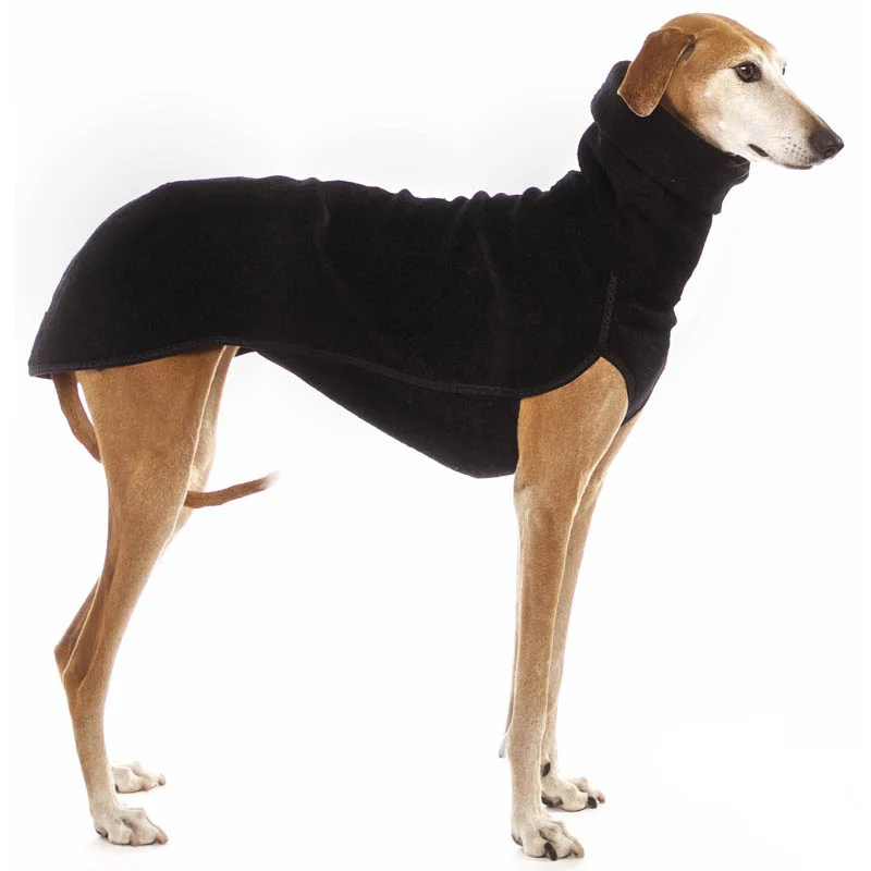 cheap dog coats