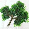 3 ramas del árbol pagoda japonés (12 ramas)