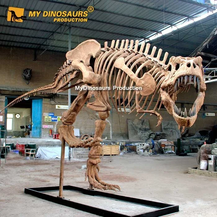 10m-Trex-skeleton-1.jpg