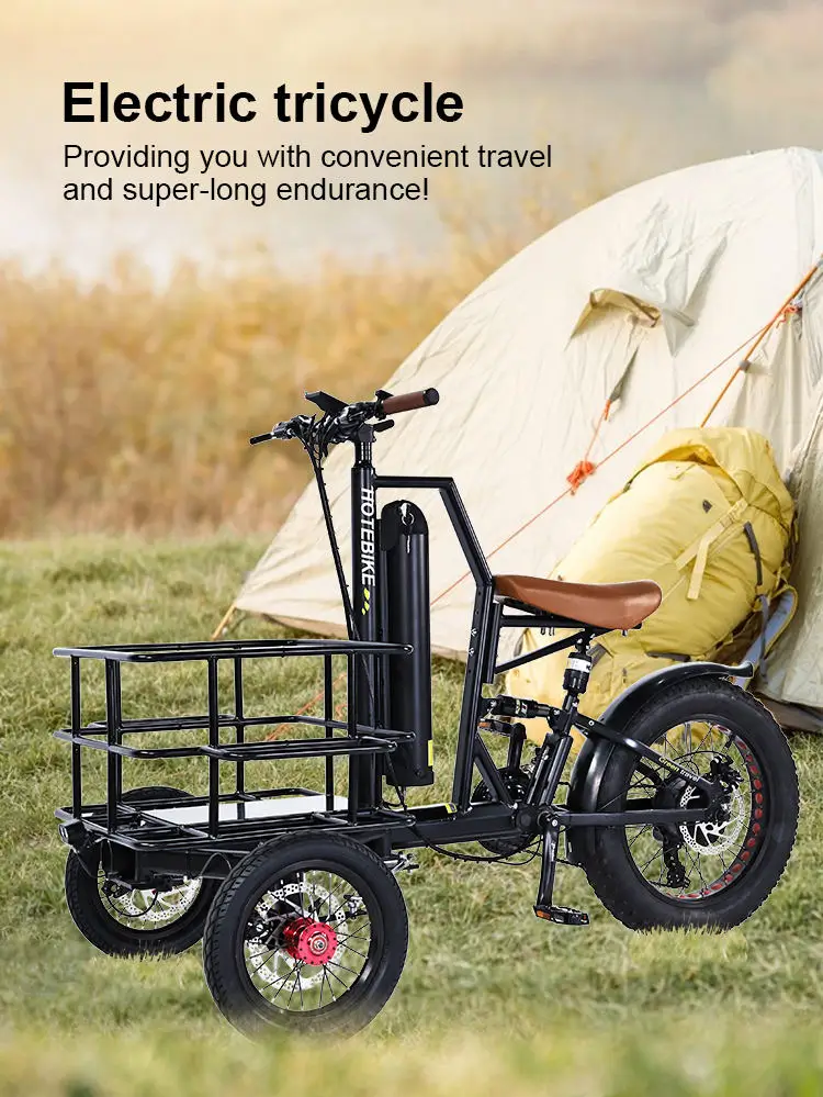 Long Range Cargo E Bike Cargo Bike Electric Ebike E-cargo Family E ...