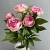 Rosa oscuro