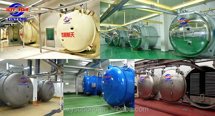 LG-200 Vacuum Freeze Dryer - Efficient & Reliable Solutions