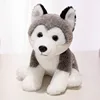 Husky accroupi 22cm