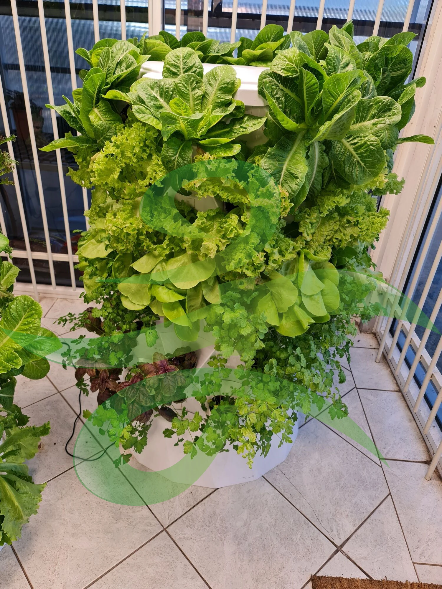 Skyplant Vertical hydroponic growing systems  smart home automation system