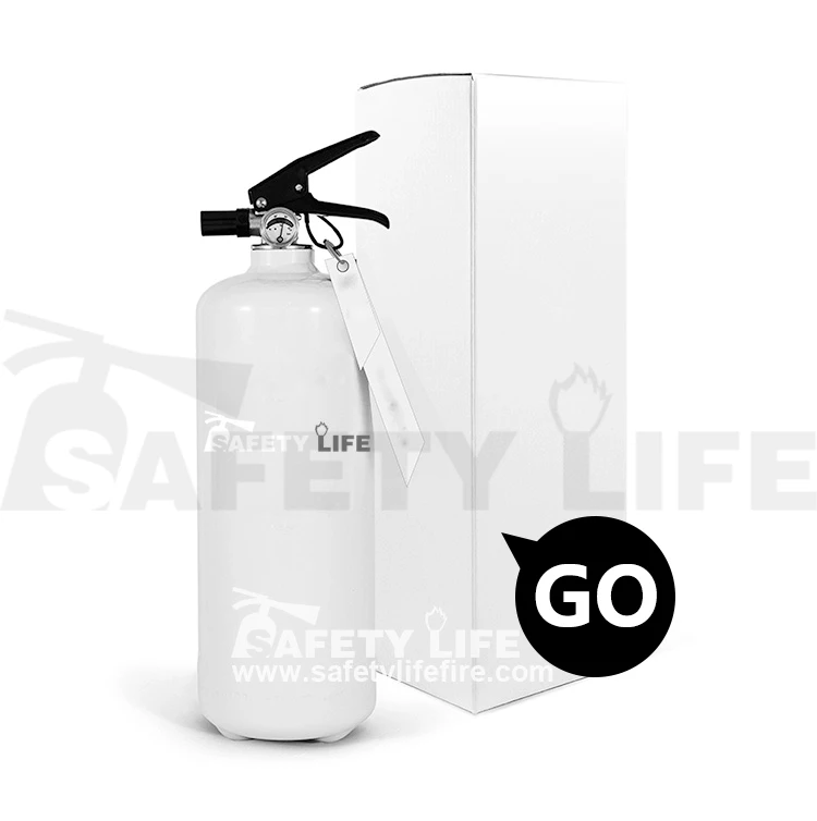 Cheap 400g Small Car Fire Extinguishers Spray Hose Mini Dry Powder and Foam Fire Extinguisher with Bracket