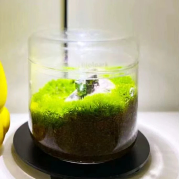 Classic Style Glass Geometric Terrarium Box Glass Terrarium Vase with Lid Creative Terrarium Flower Pot for Plants