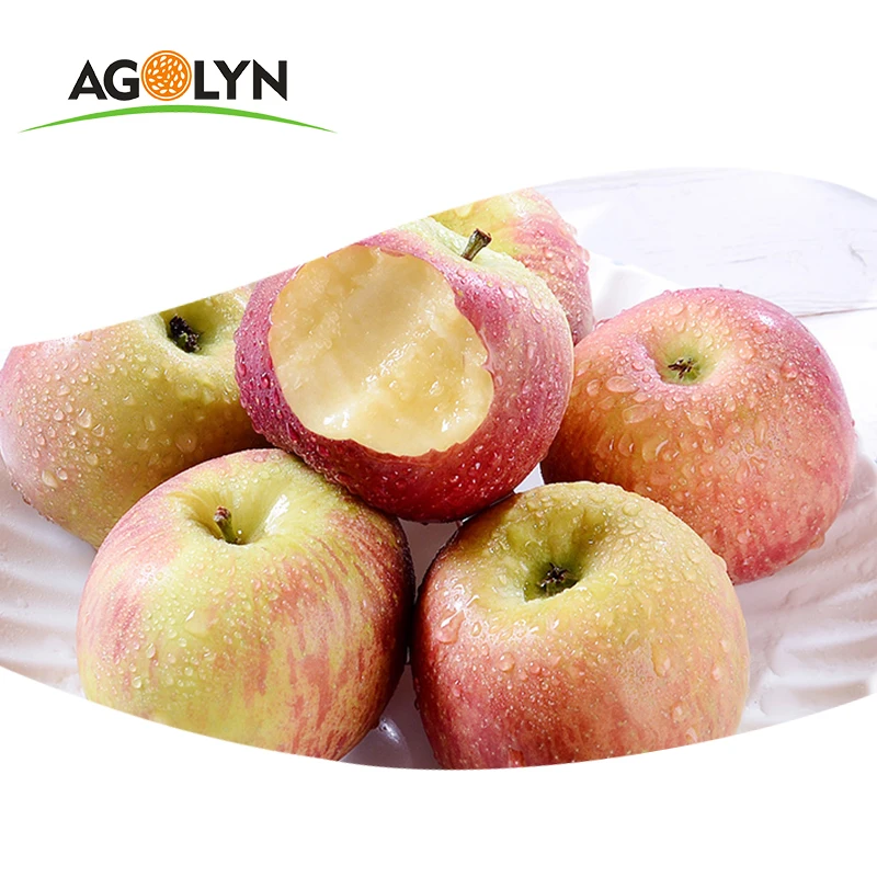 新鲜苹果中国水果嘎拉苹果 - buy gala apple fruit,fresh gala apple