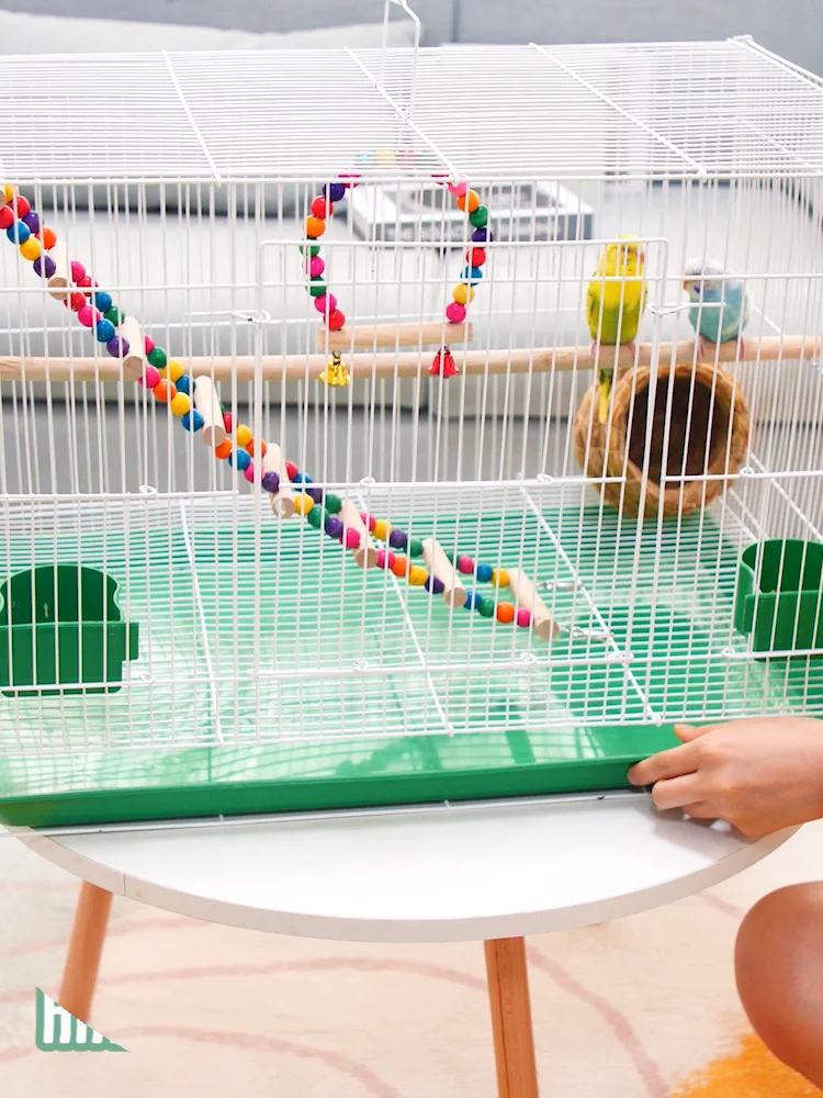 Wholesale Pet Animal Cage Foldable Metal Cheap Bird Parrot Cage