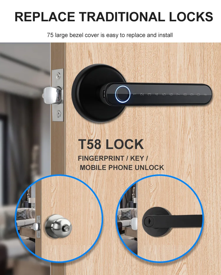 Biometric Fingerprint Password Electric Handle Door Lock Bedroom Home