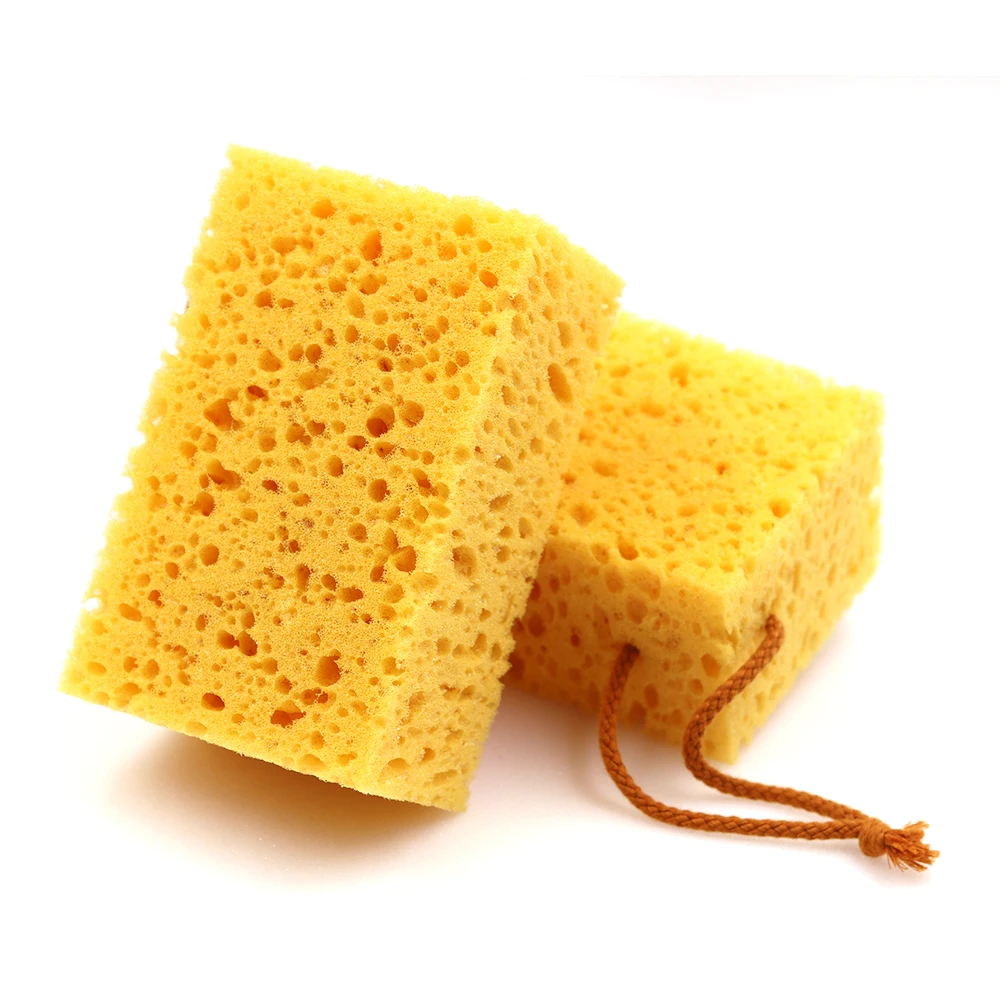 Custom Size Various Types Car Wash Sea Sponge Large Porous Sponge for Cars