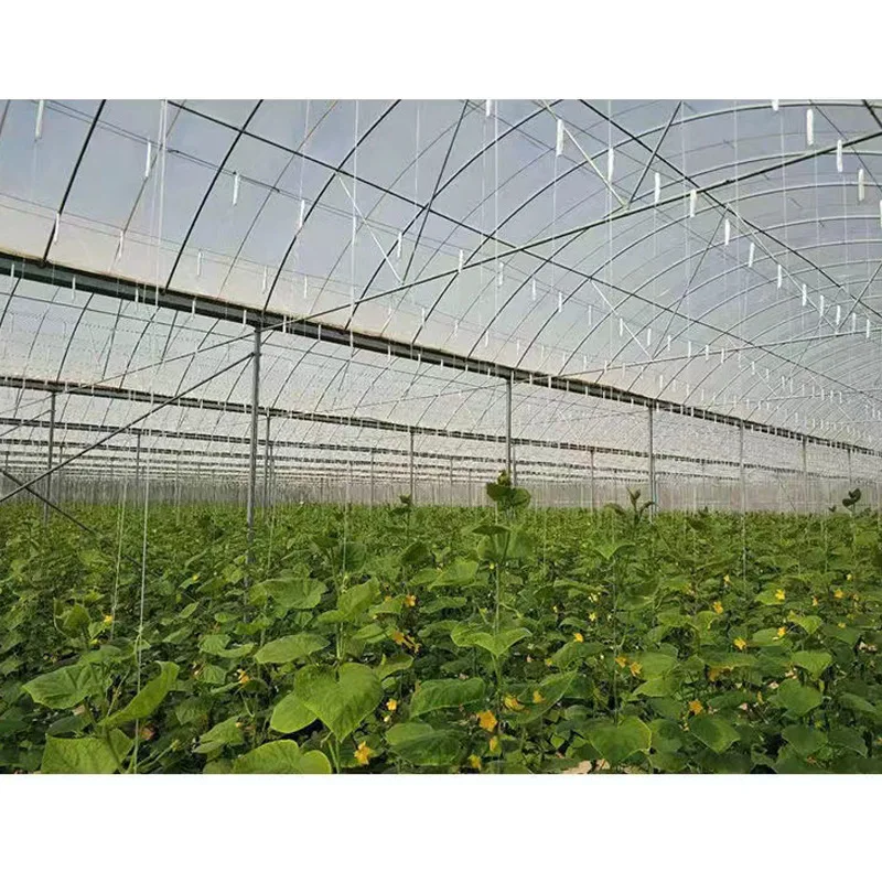 Tomato Support Hooks,Tomato Support J Hook With 10m Twine,Tomato Hooks