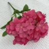 Rosa roja