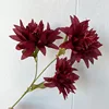 Big claw chrysanthemum-Red